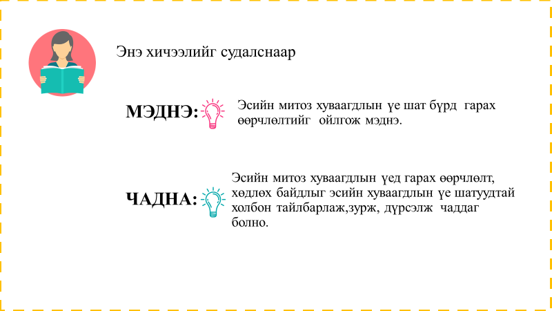 Мэдлээ | Цахим контент